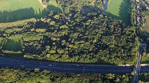 A27 door landgoed Nieuw-Amelisweerd, door Cor van Angelen